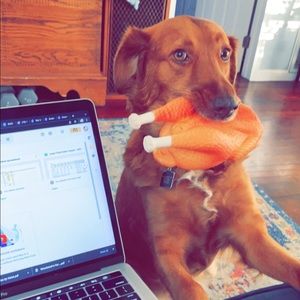 Meet your Posher, Emiley